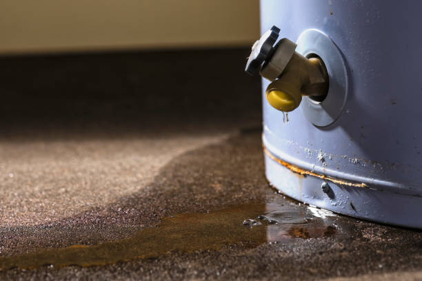 Best Ceiling water damage repair  in Doffing, TX