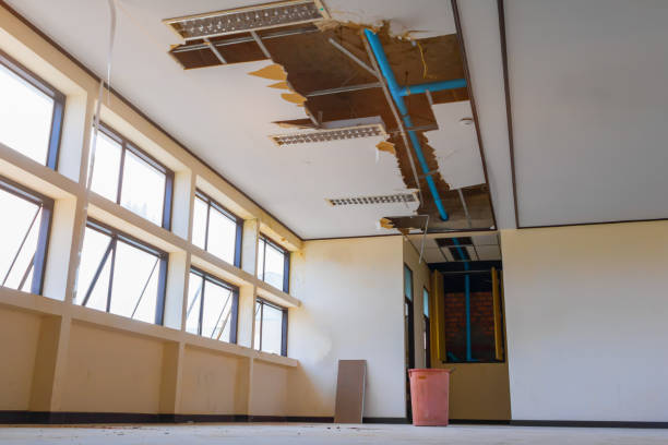 Best Water damage contractors near me  in Doffing, TX