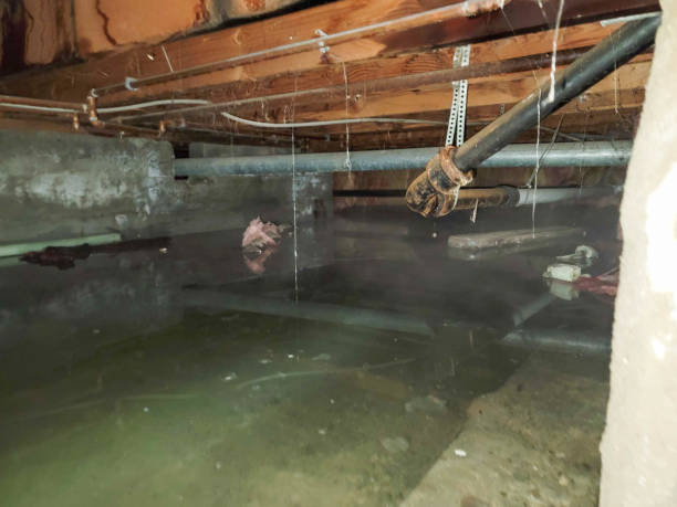 Best Flood damage cleanup  in Doffing, TX