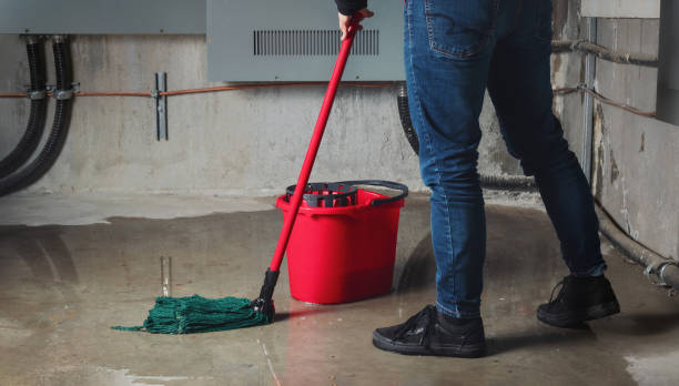 Best Water damage cleanup near me  in Doffing, TX