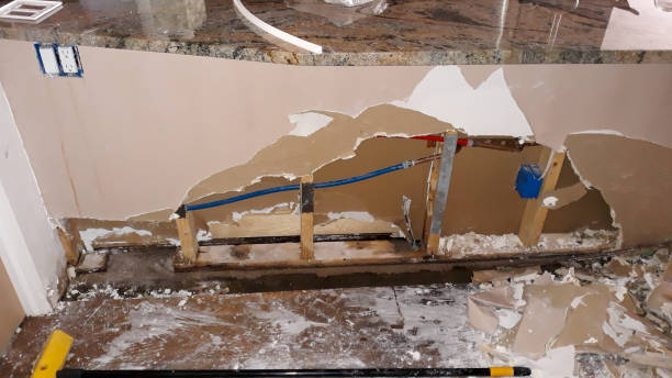 Best Professional water damage repair  in Doffing, TX
