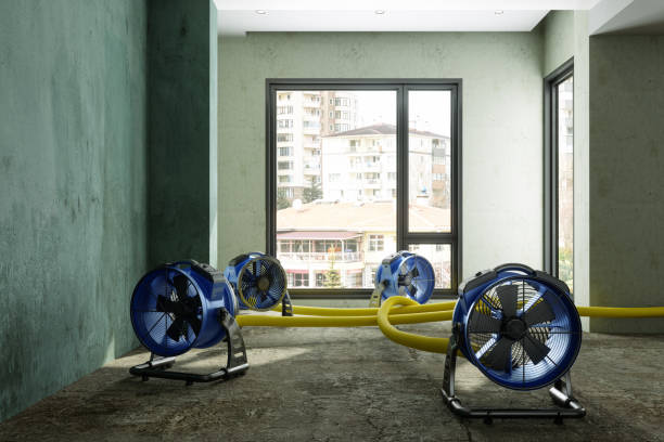 Best Water damage repair service  in Doffing, TX