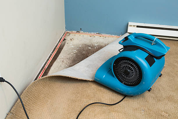Best Professional water damage repair  in Doffing, TX